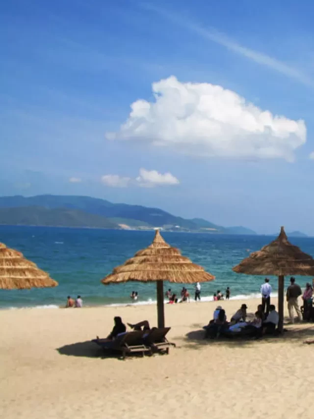   Tour Du Lịch Nha Trang: Khám Phá Vẻ Đẹp Biển Xanh