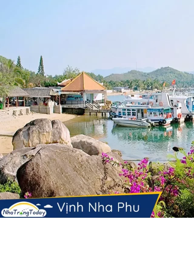   Tour Du Lịch Nha Trang - Đà Lạt: Khám phá Hòn Hoa Lan và Hòn Khỉ